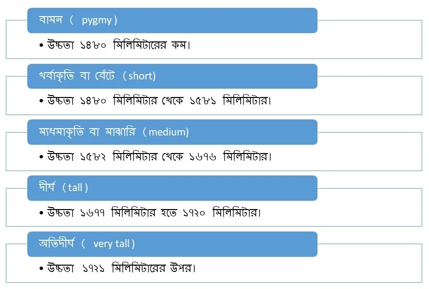 দেহের দীর্ঘতা অনুযায়ী মানুষকে পাঁচ শ্রেণীতে বিভক্ত করা হয় - ১. বামন ( pygmy ) - উচ্চতা ১৪৮০ মিলিমিটারের কম। ২. খর্বাকৃতি বা বেঁটে (short) – উচ্চতা ১৪৮০ মিলিমিটার থেকে ১৫৮১ মিলিমিটার। ৩. ম্যধমাকৃতি বা মাঝারি (medium) – উচ্চতা ১৫৮২ মিলিমিটার থেকে ১৬৭৬ মিলিমিটার। ৪. দীর্ঘ (tall ) — ১৬৭৭ মিলিমিটার হতে ১৭২০ মিলিমিটার। অতিদীর্ঘ ( very tall ) – ১৭২১ মিলিমিটারের উপর।